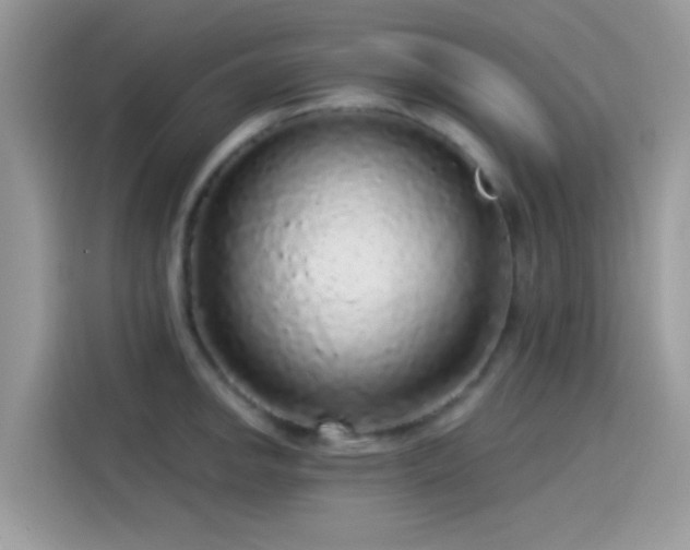 X0000115551142200911131559