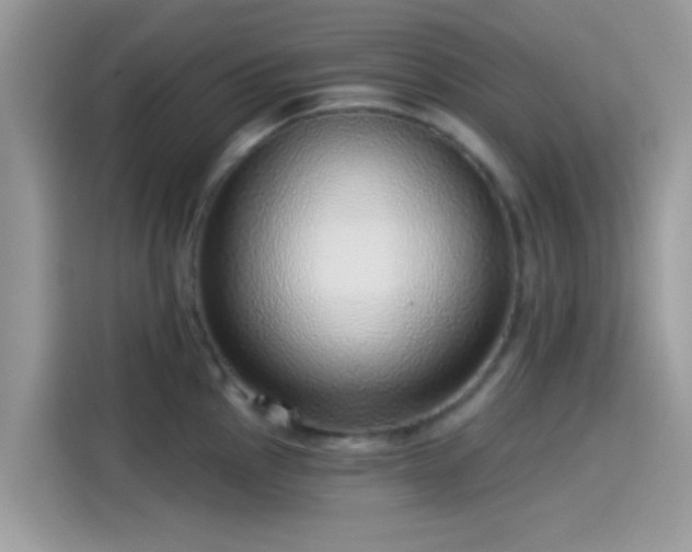 X0000115551145200911131559