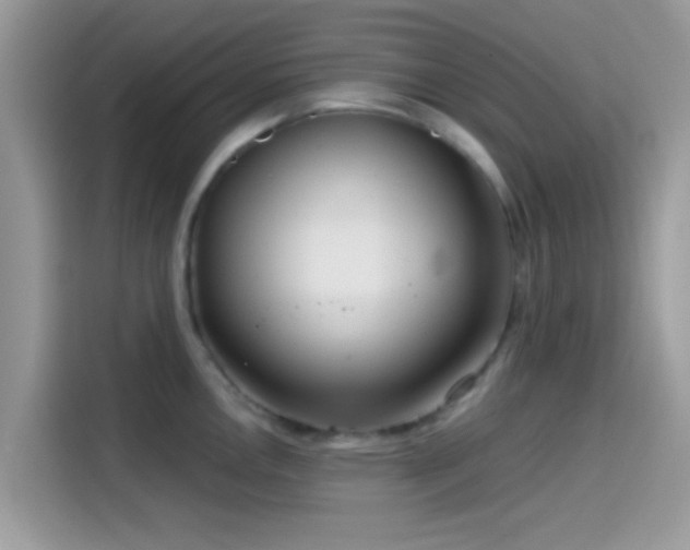 X0000115551146200911131559