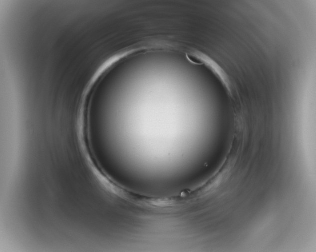 X0000115551147200911131559