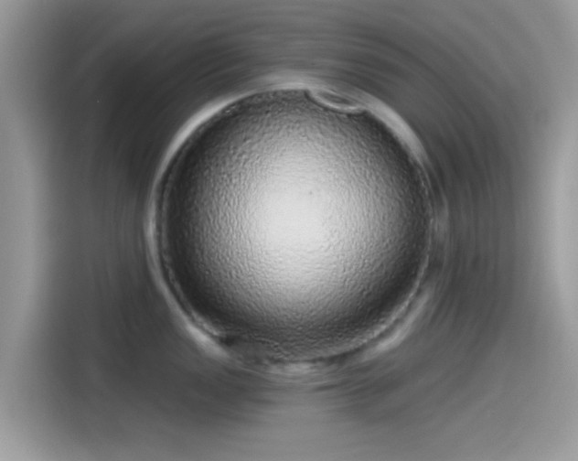 X0000115551149200911131559