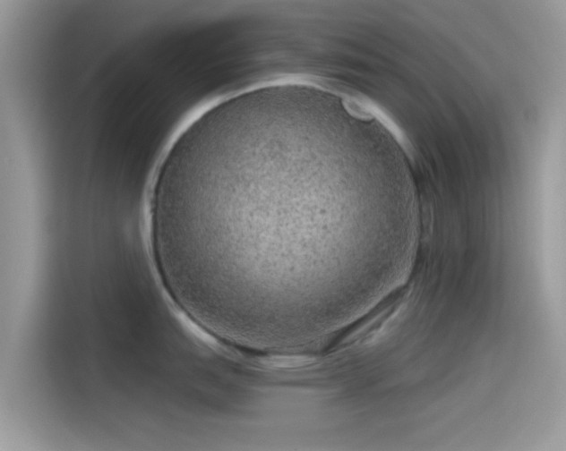 X0000115551151200911131559