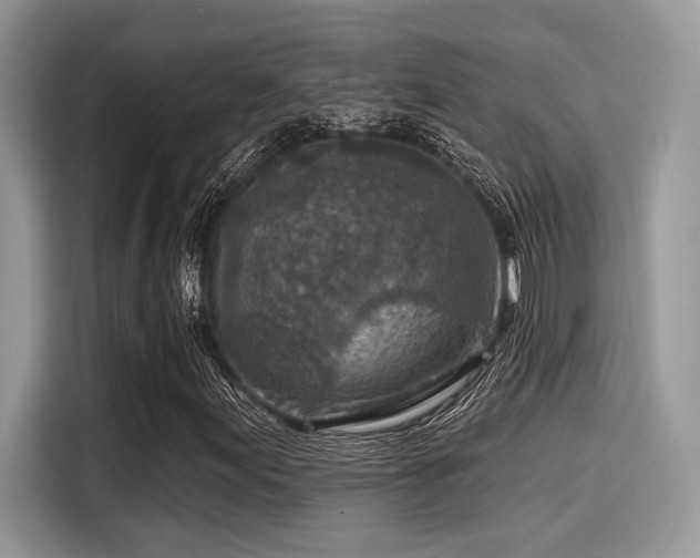 X0000115551155200911131558