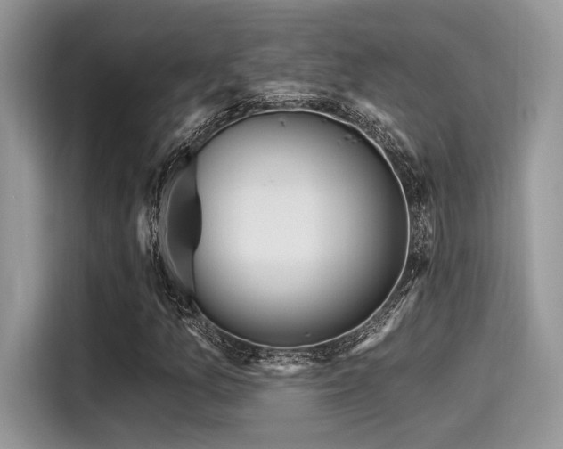 X0000115551157200911131558