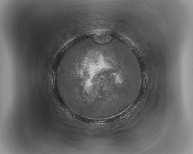 X0000115551158200911131558