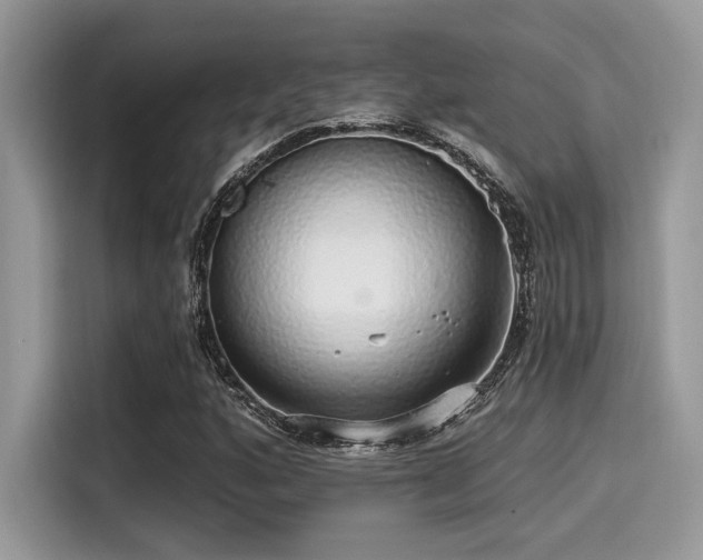 X0000115551160200911131558