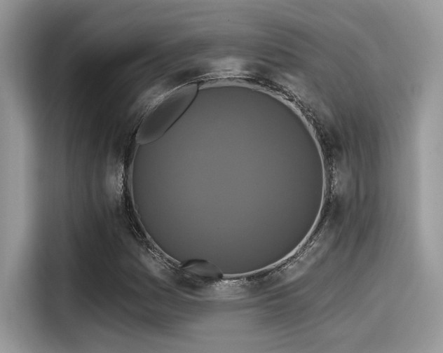 X0000115551161200911131558