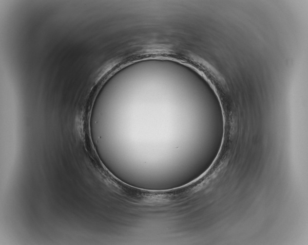 X0000115551162200911131558