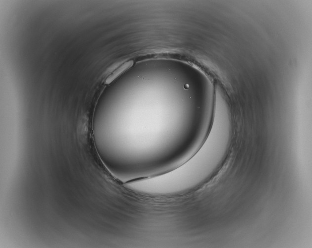 X0000115551169200911131558