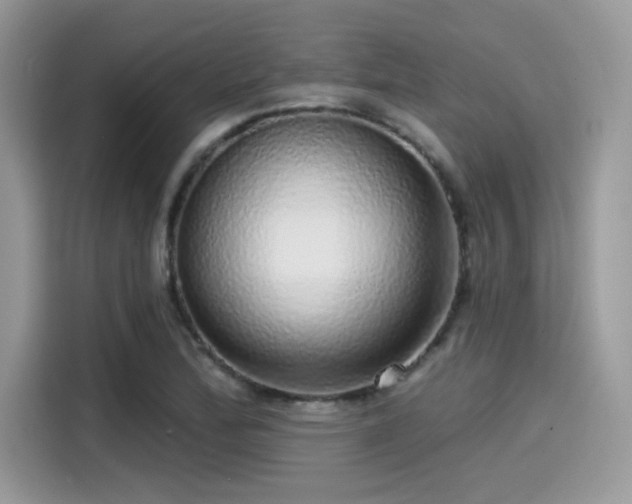 X0000115551172200911131558