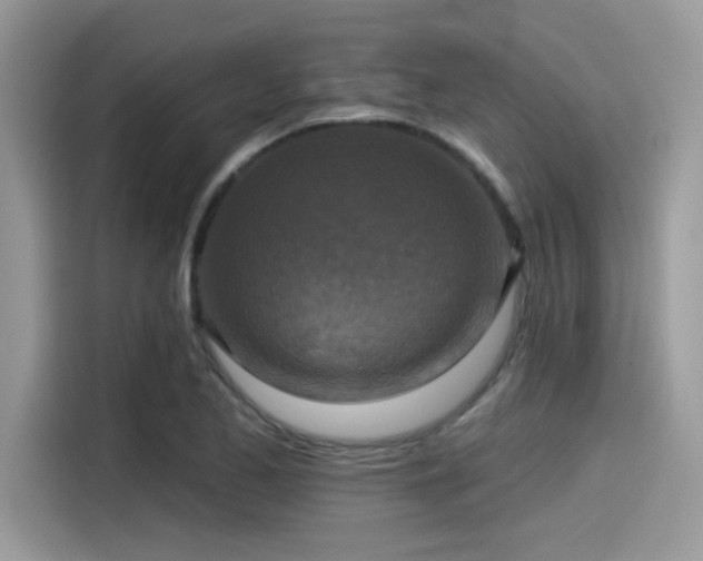 X0000115551173200911131558