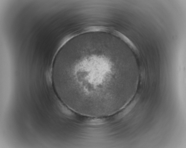 X0000115551178200911131558