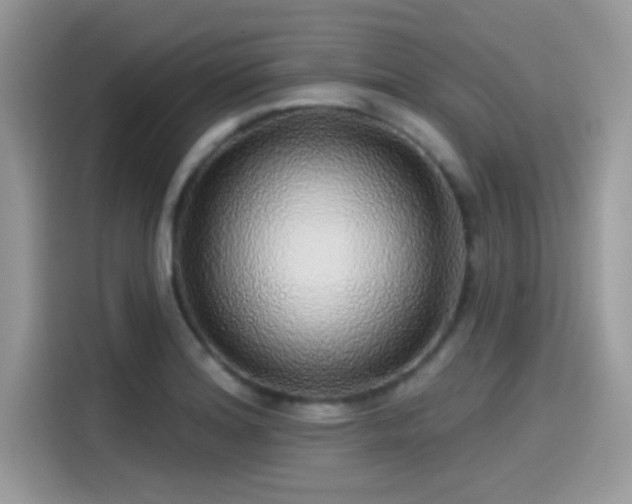 X0000115551180200911131558