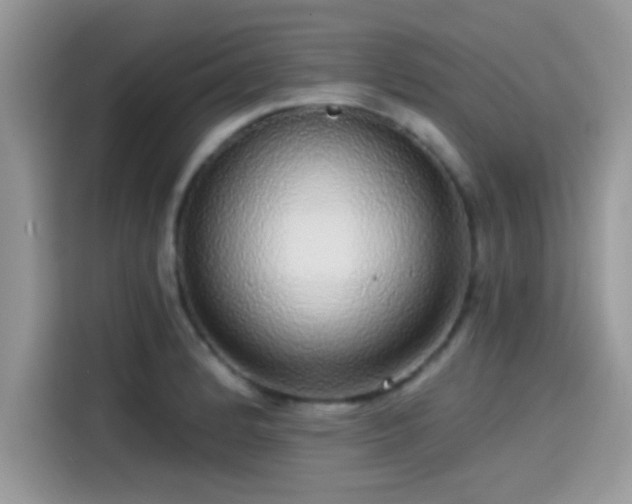 X0000115551184200911131558