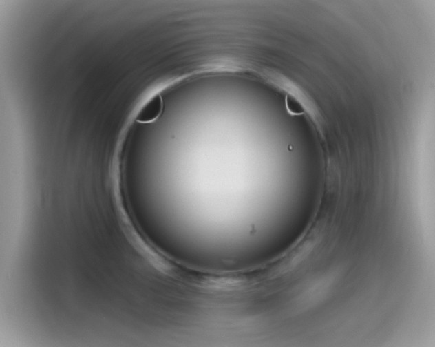 X0000115551187200911131558