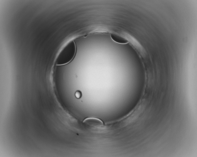 X0000115551190200911131558