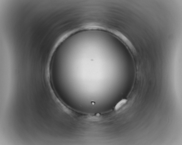 X0000115551191200911131558