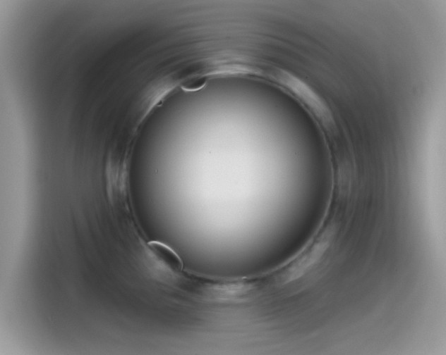 X0000115551193200911131558