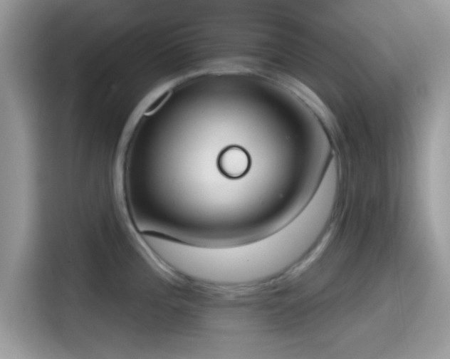 X0000115551196200911131558