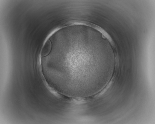 X0000115551198200911131558