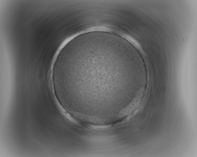 X0000115551200200911131558