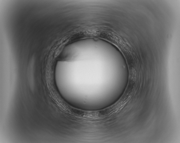 X0000115551201200911131557