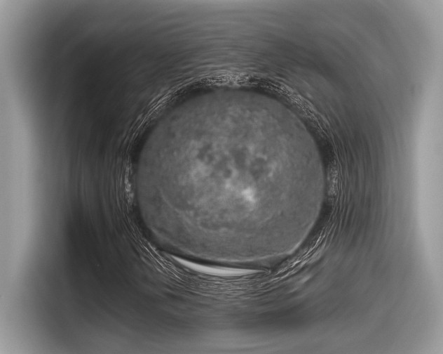 X0000115551202200911131557