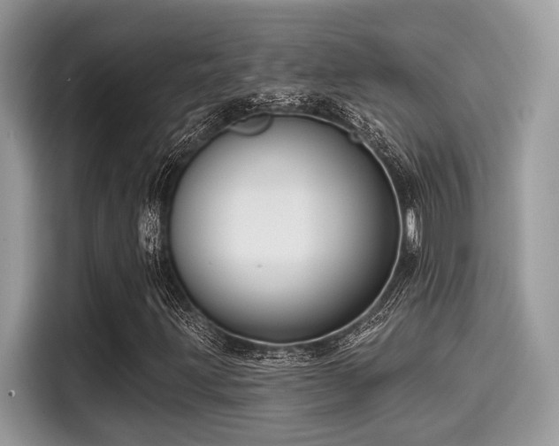 X0000115551203200911131557