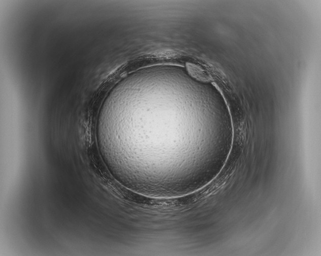 X0000115551205200911131557