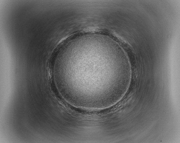 X0000115551206200911131557
