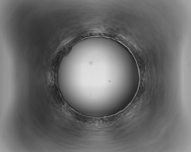X0000115551207200911131557