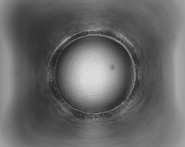X0000115551208200911131557