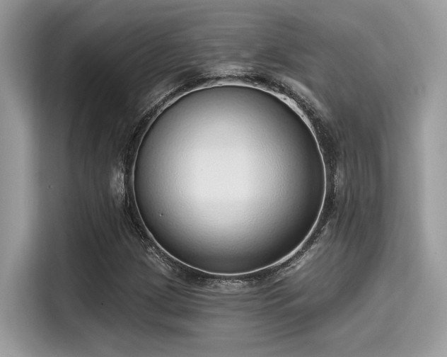 X0000115551209200911131557