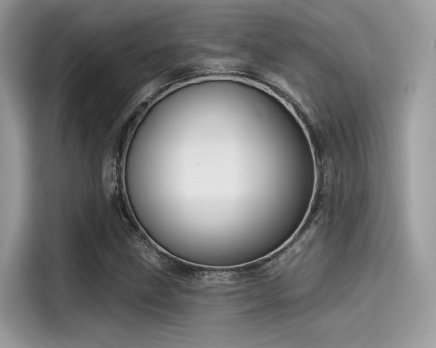X0000115551211200911131557