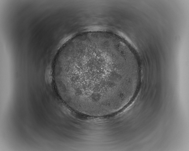 X0000115551213200911131557