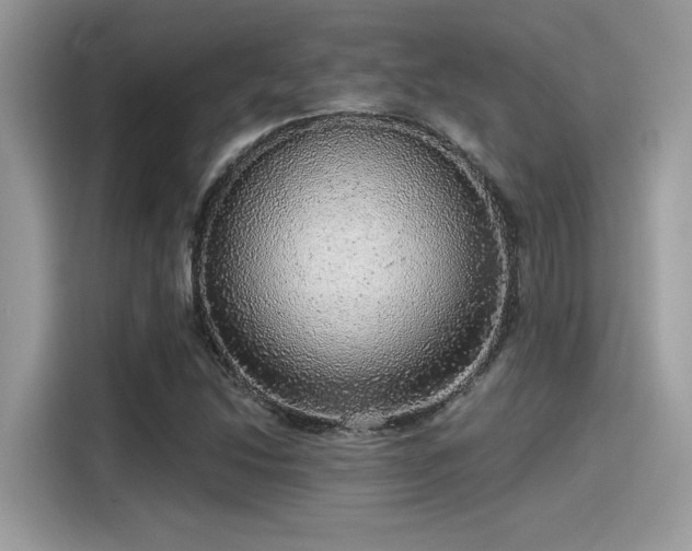 X0000115551214200911131557