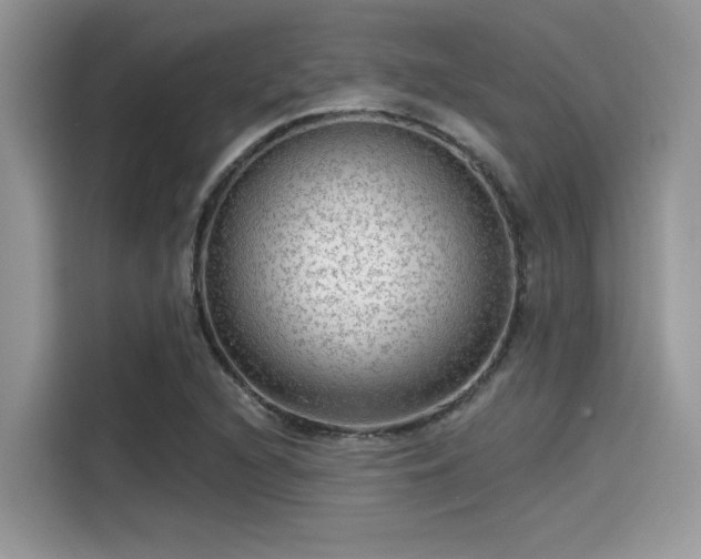 X0000115551216200911131557