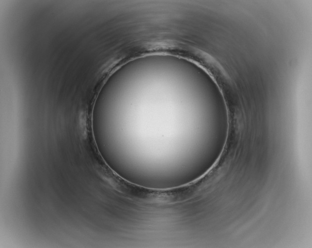 X0000115551217200911131557