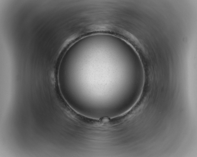 X0000115551218200911131557