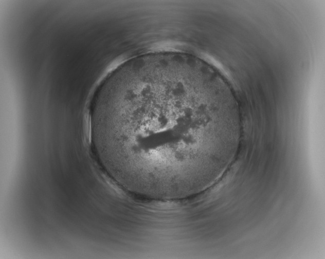 X0000115551219200911131557