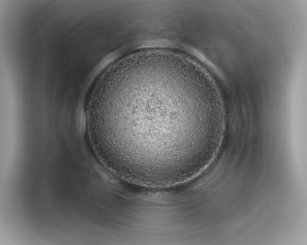 X0000115551221200911131557