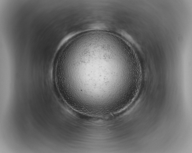 X0000115551222200911131557