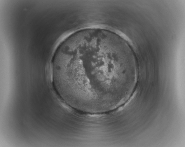X0000115551223200911131557