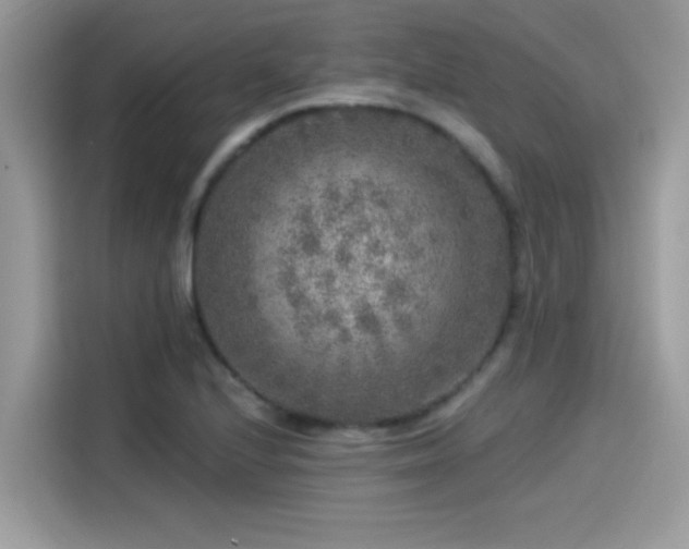 X0000115551224200911131557