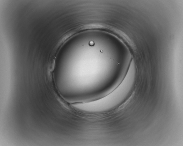 X0000115551225200911131557