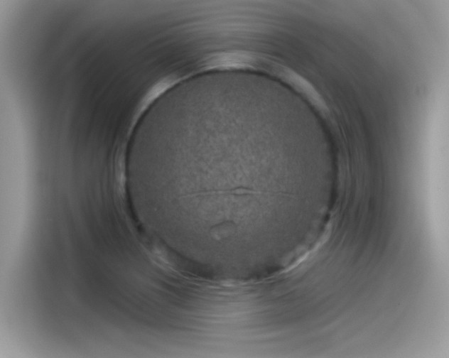 X0000115551226200911131557