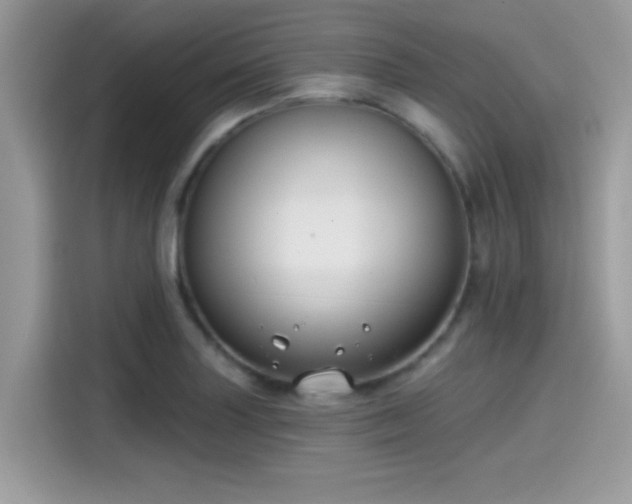X0000115551227200911131557
