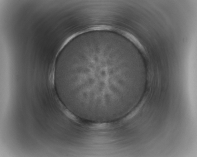 X0000115551228200911131557