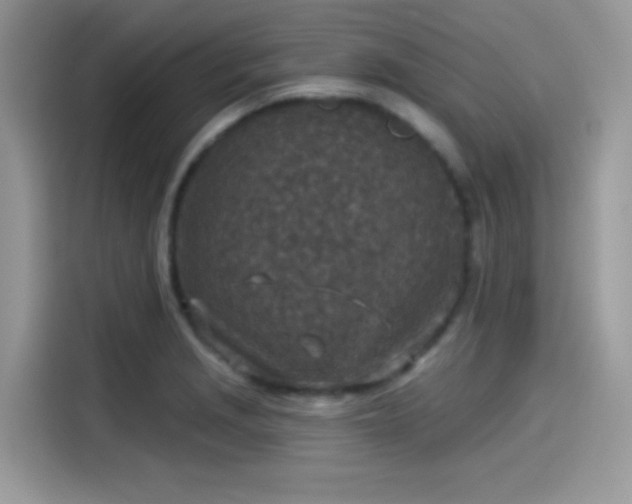 X0000115551229200911131557