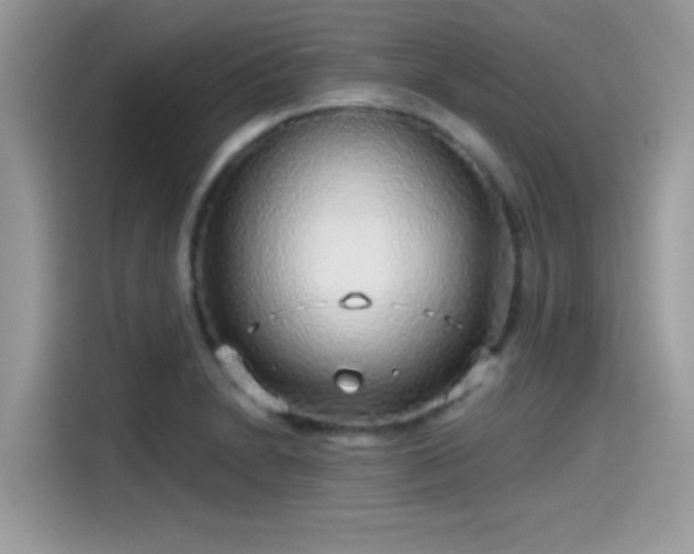 X0000115551230200911131557